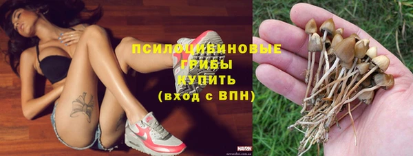 а пвп мука Белокуриха